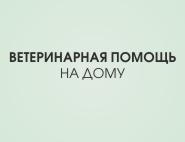 Ветеринарная помощь на дому