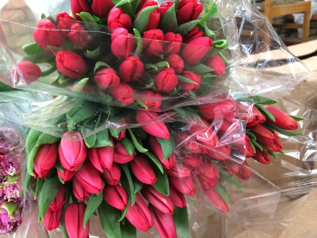 http://www.krasnoznamensk.biz/files/shop/fullscreen/175426ebcff33e2e49af4397fe21aca22684.jpg