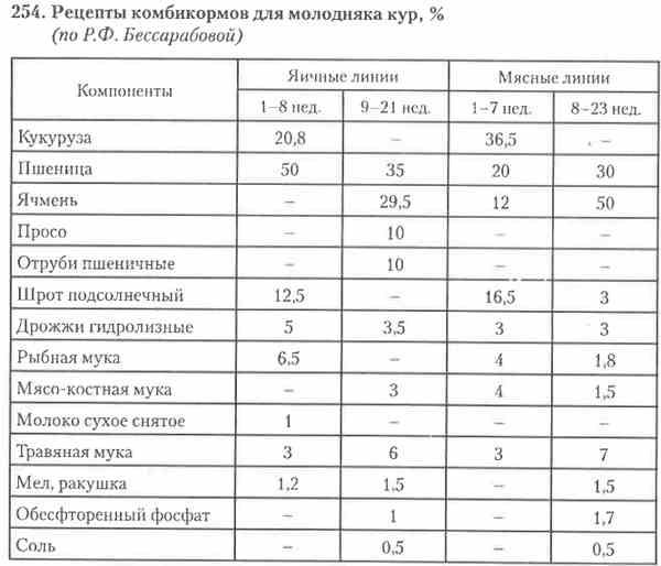 Комбикорм для курей несушек состав Комбикорм для курей несушек состав